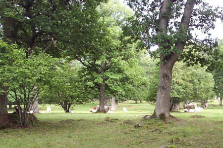 Svensk løveng ved Brunsbo ved Skare i Scverige anlagt i senmiddelalderen. Kilde: Wikipedia. 