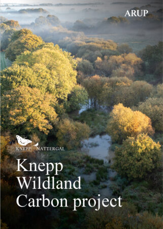 COVER KNEPP REWIlding report Arup