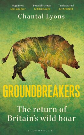 Groundbreakers cover