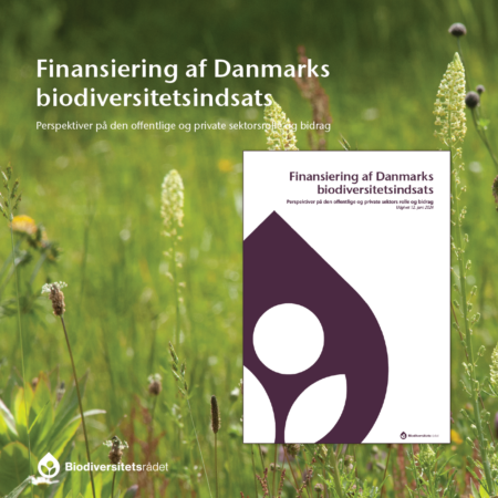 Forside - rapport juni biodiversitetsrådet 2024