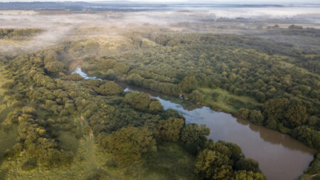 Sussex Bay fik for nylig tildelt en pris på £100.000 for sit arbejde for at restaurere tangbælter langs kysten © Rewilding Britain