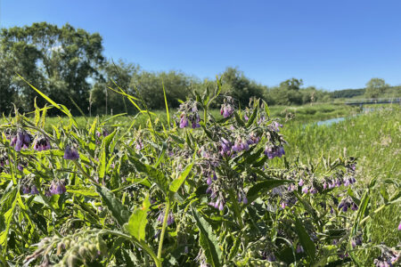 Kolindsund i den sydlige del © Schousboe