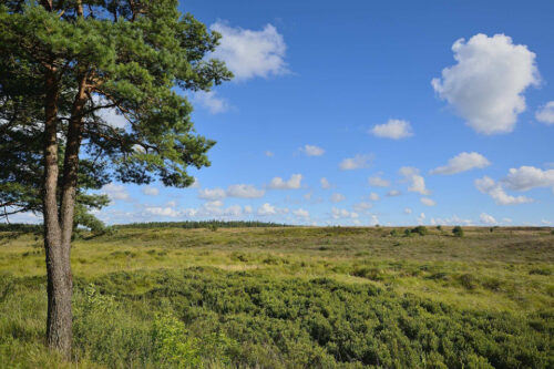 Klosterheden © Rune Engelbrecht