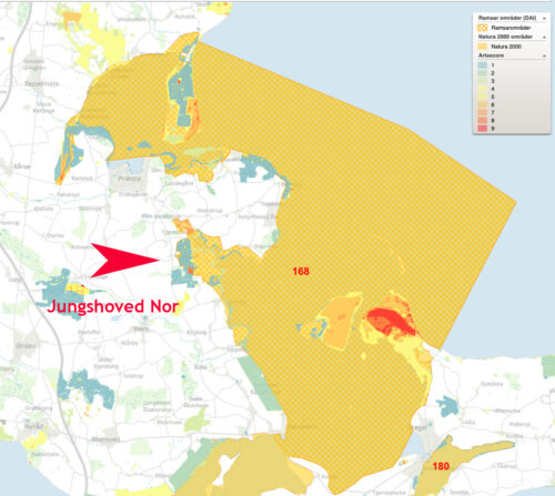 Jogshoved Nor i udkanten af Fuglereservatet ved Nyord og hele det beskyttede havområde. 