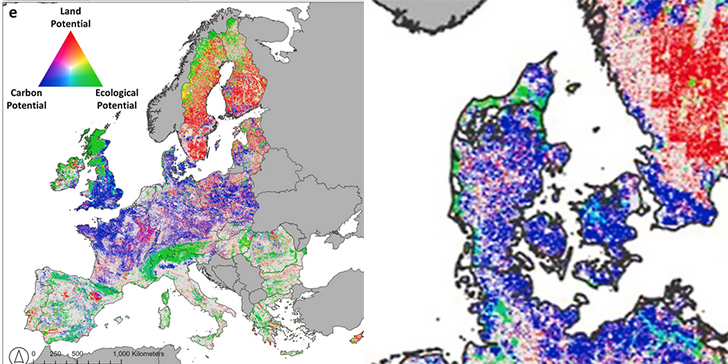 På kortet vises tydeligt at vores rewilding potentiale er hægtet op på vores våd- og lavbunde. Fra Where could climate-smart rewilding be located in Europe?By Judith Kloibhofer, Reinhard Prestele, Georg Leitinger, and Mark Rounsevell Journal of Environmental Management Volume 380, April 2025, 125084 Open Source CCBYSA