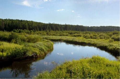 Efter Ritzau Marshland in Northern Saskatchewan, Canada. By jpiks1