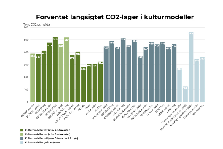 Klimaskovfonden beregninger på modeller © Klimaskovfonden