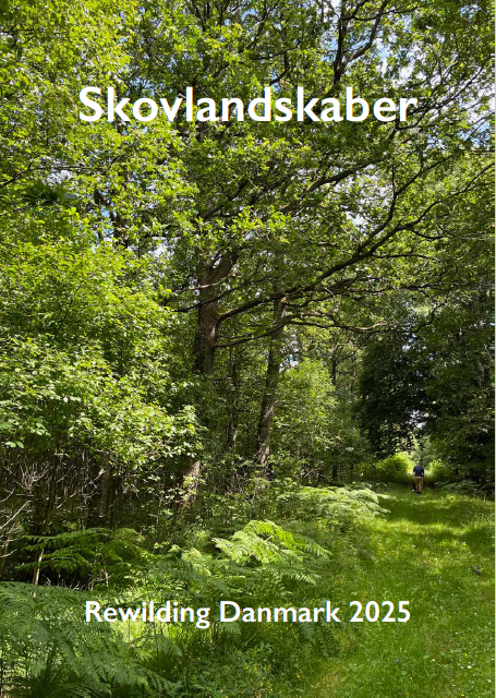 Forsiden notat om skovlandskaber