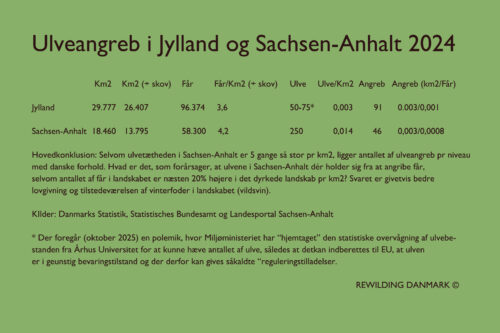 Tabel over uveangreb i Sachsen-Anhalt og i Jylland
