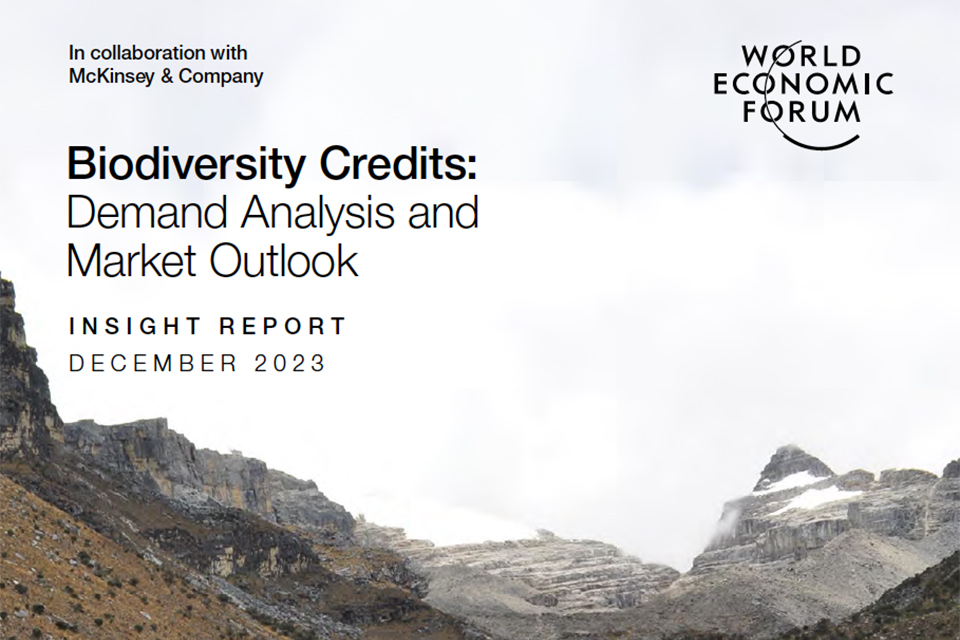 WEF biodiversity credits_