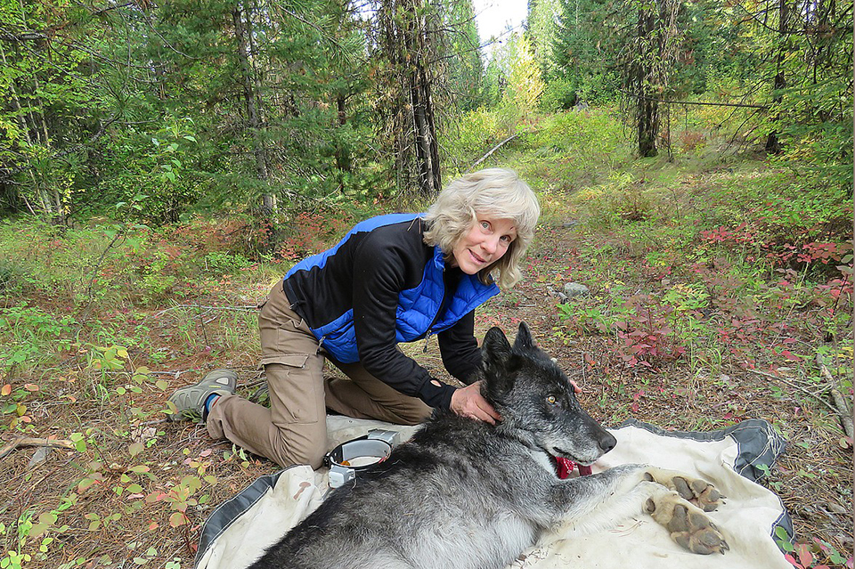 Biologist Diane K Boyd © Promotional material by courtesy