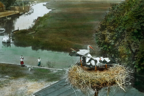 Storkerede i Ribe ca. 1920-30. Nationalmuseet