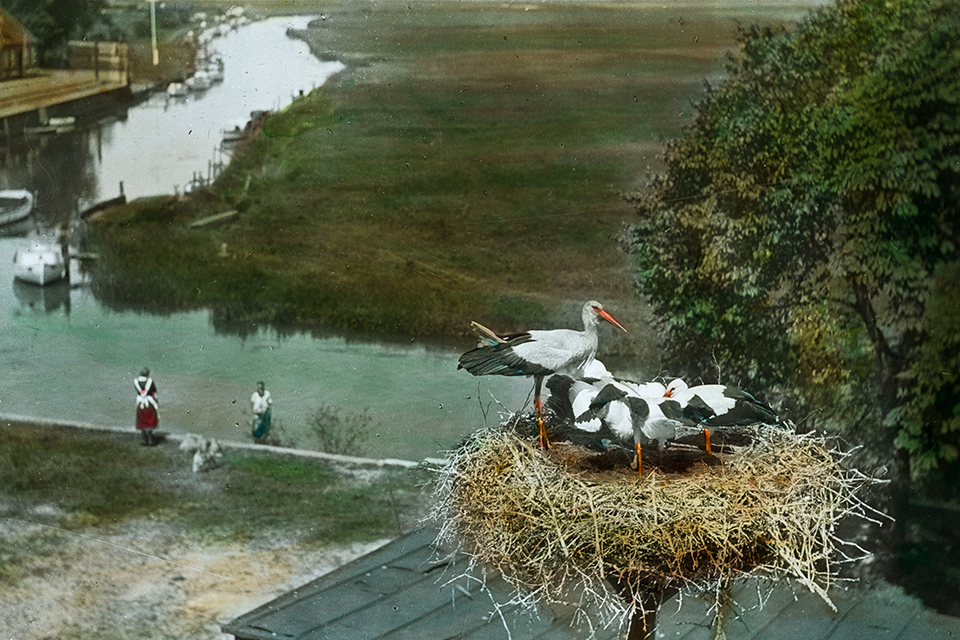 Storkerede i Ribe ca. 1920-30. Nationalmuseet