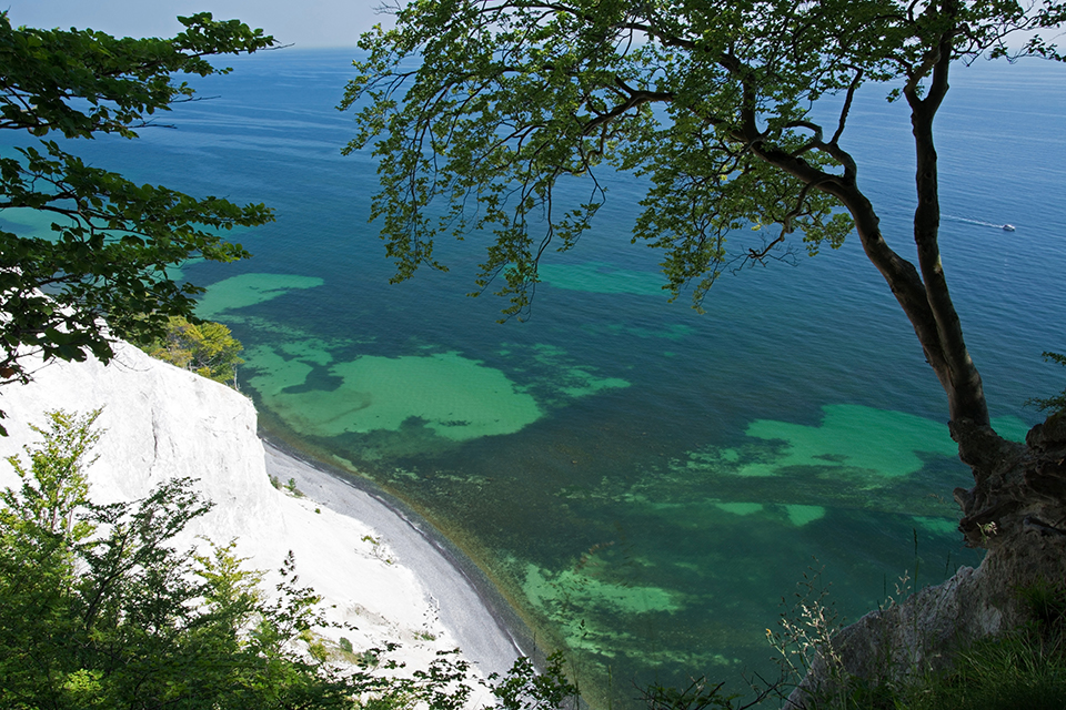 Møns Klint © Dreamstime/Uhg1234/ID 583181196